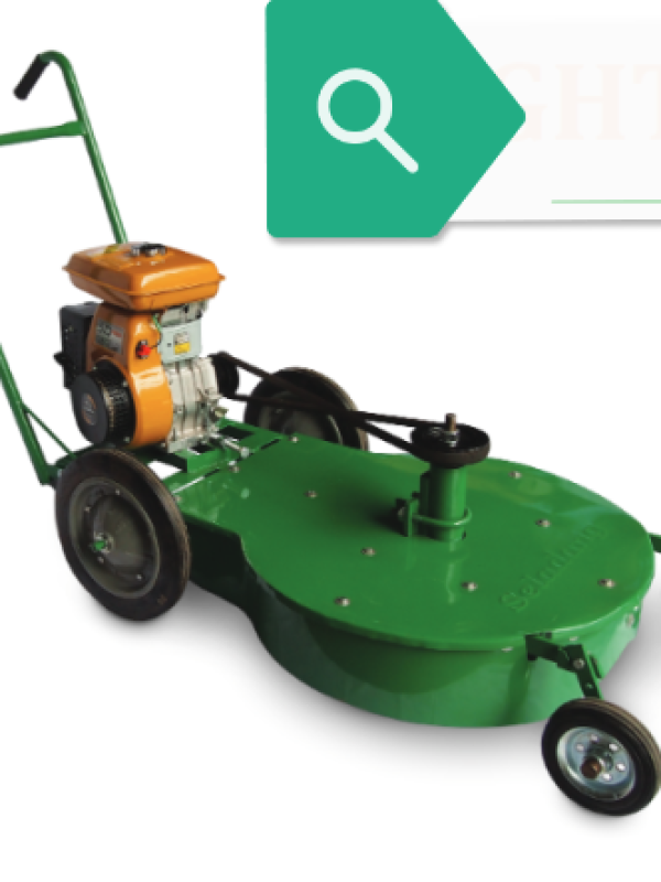 Robin Lawn Mover Petrol Engine